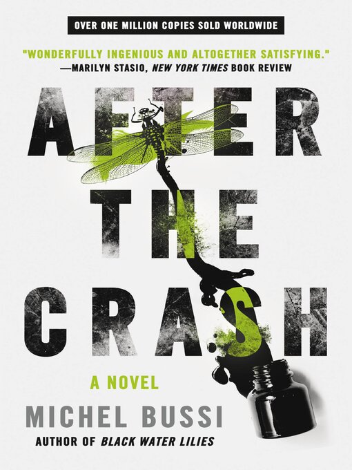 Title details for After the Crash by Michel Bussi - Available